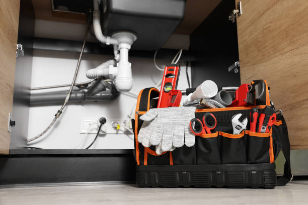 Best Clogged Drain Plumber  in Williamston, NC